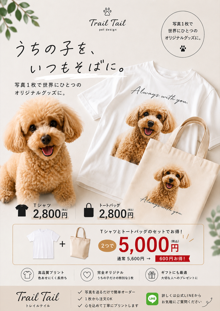Trail Tailからのお知らせ